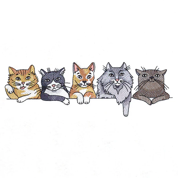 Sassy Cats Border - Image 2