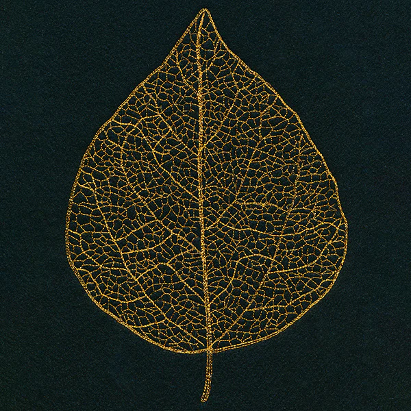 Sensational Skeleton Leaf - Image 9