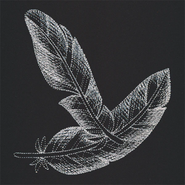 Sheer Beauty Feathers - Image 3