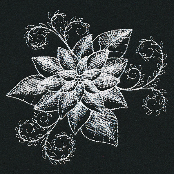 Sheer Beauty Poinsettia - Image 2
