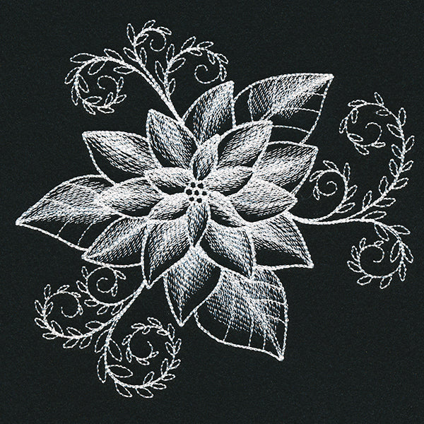 Sheer Beauty Poinsettia - Image 5