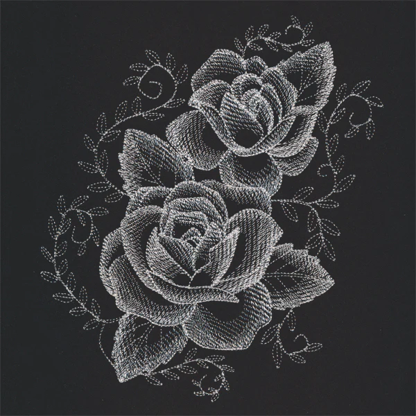 Sheer Beauty Roses