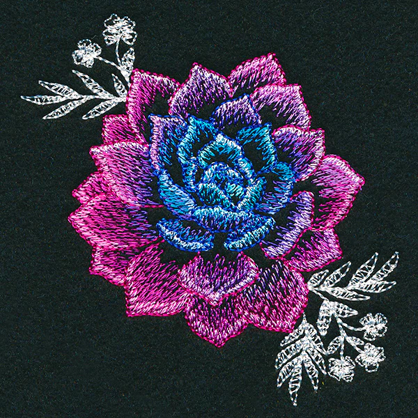 Sheer Beauty Succulent - Image 3