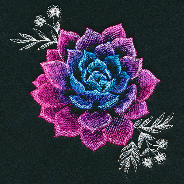 Sheer Beauty Succulent - Image 7