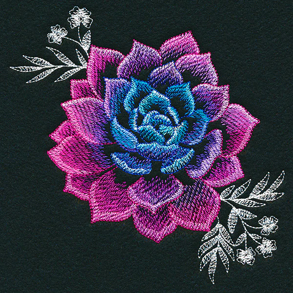 Sheer Beauty Succulent - Image 9
