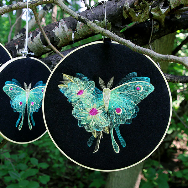 Sheer Illusions Luna Moth - Image 12
