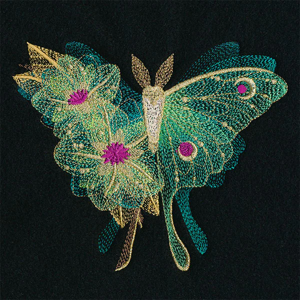 Sheer Illusions Luna Moth - Image 7