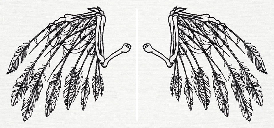 Skeletal Flight (Wing Pair)