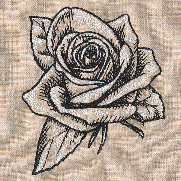 Sketched Rose - Image 4