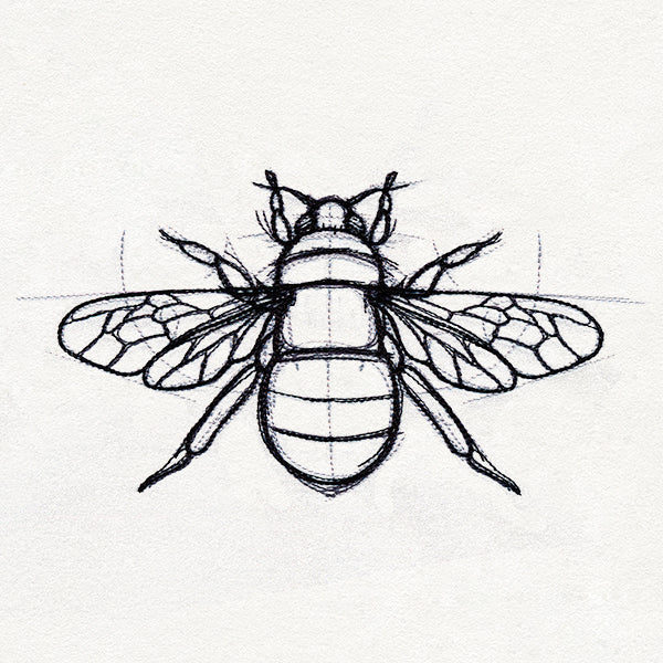 Sketchwork - Bee - Image 4