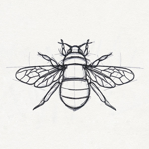 Sketchwork - Bee - Image 6