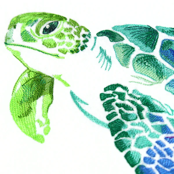 Spectrums of the Ocean Sea Turtle - Image 2