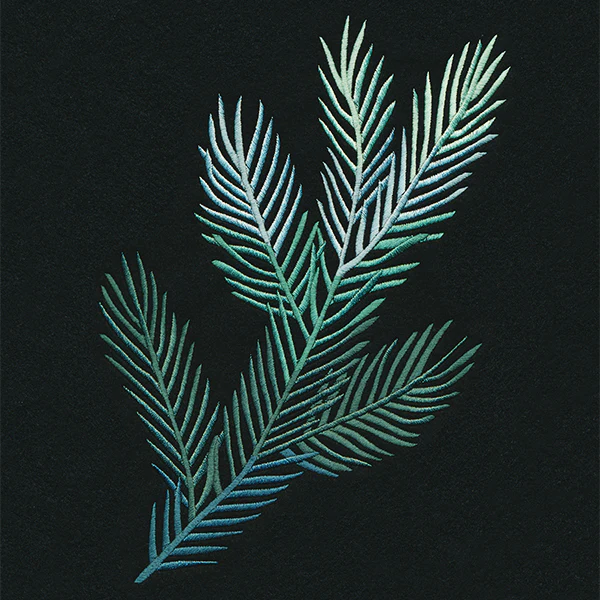 Spruce Things Up Spray - Image 4
