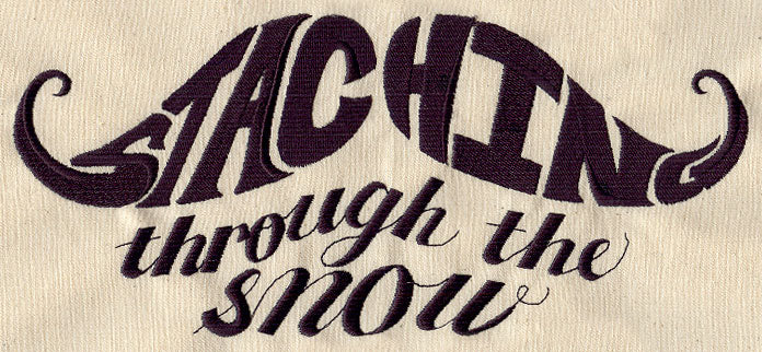 Staching Through the Snow - Image 4