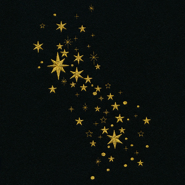 Stars of the Constellation Spray - Image 13