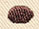 Steampunk Punctuation - Period - Image 4