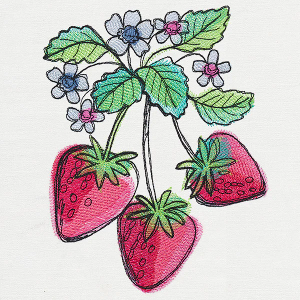 Summer Tastes - Strawberries - Image 2