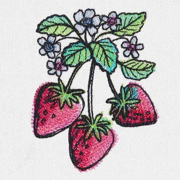 Summer Tastes - Strawberries - Image 5