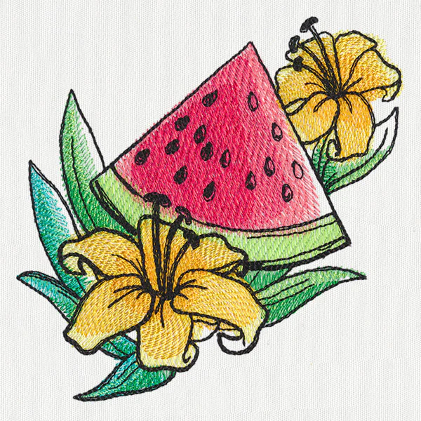 Summer Tastes - Watermelon - Image 4