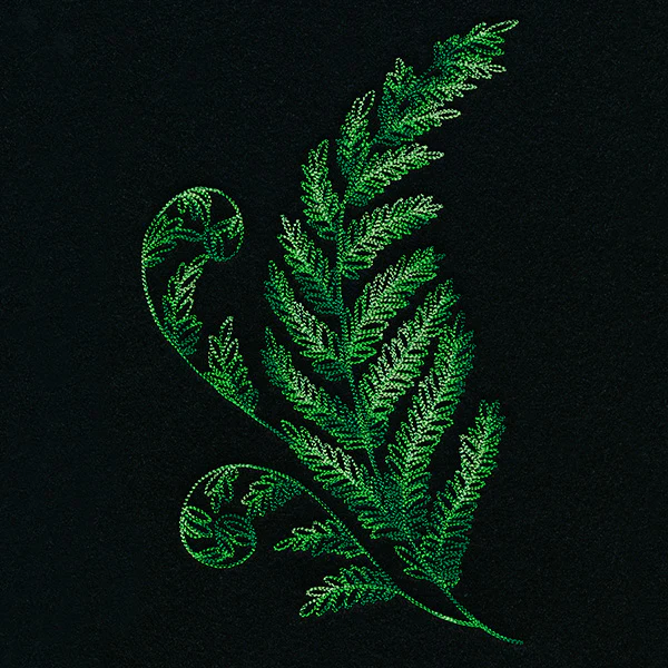 Textured Fern - Image 9