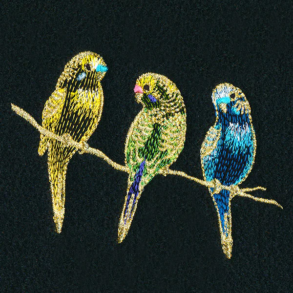 Three Tweet Parakeets - Image 4