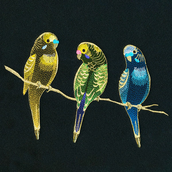 Three Tweet Parakeets - Image 5