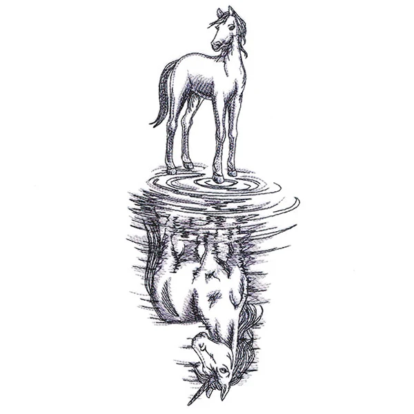Unicorn Reflection - Image 2