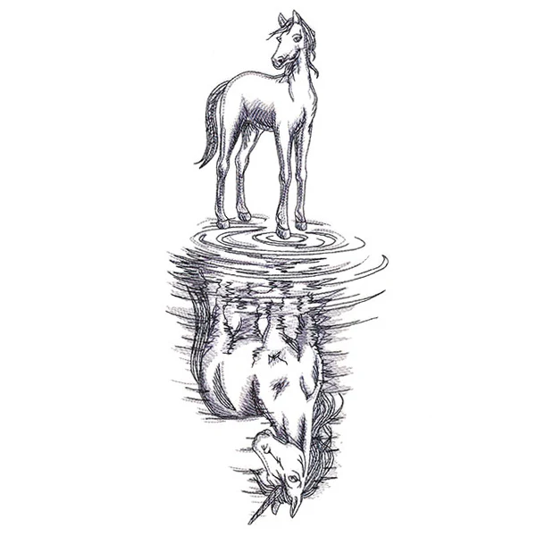 Unicorn Reflection - Image 5