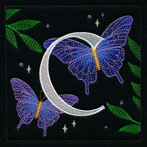 Welcome Celestial Square - C - Image 10