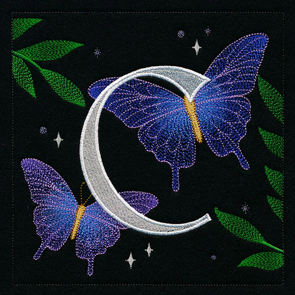 Welcome Celestial Square - C - Image 4