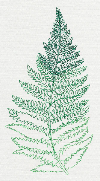 Where the Fern Grows - Image 3