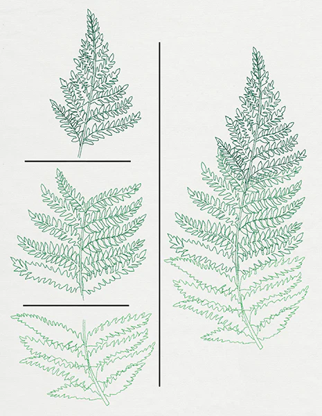 Where the Fern Grows (Split) - Image 2