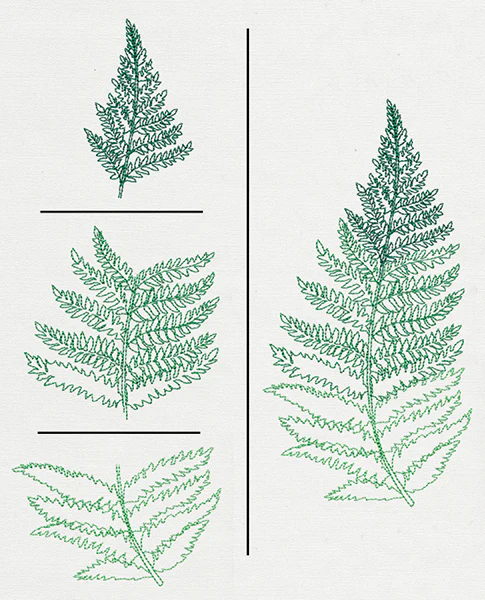 Where the Fern Grows (Split) - Image 4