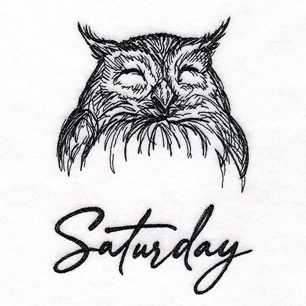 Who Gives a Hoot Owl on Saturday - Image 3