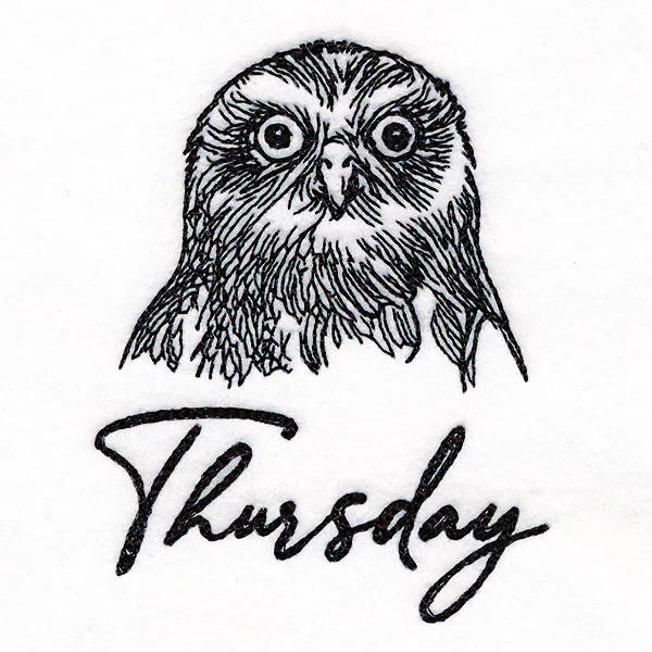 Who Gives a Hoot Owl on Thursday - Image 2
