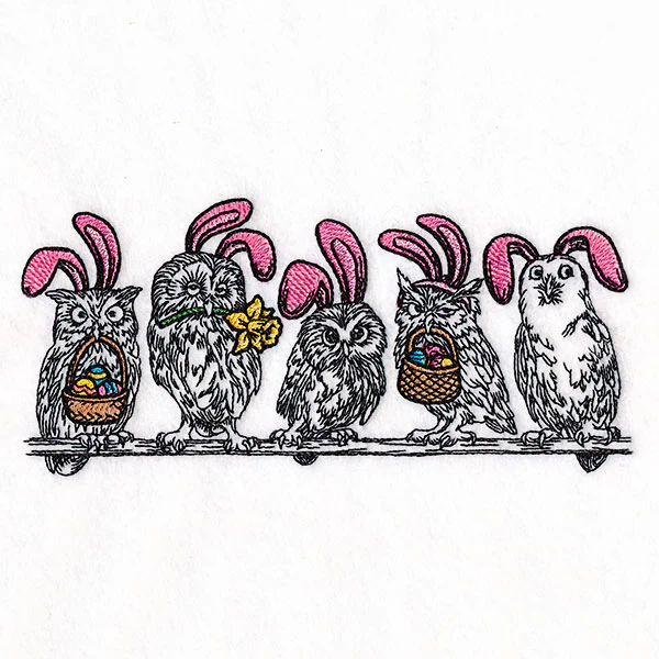 Whoo's Ready for Easter Owl Border - Image 4