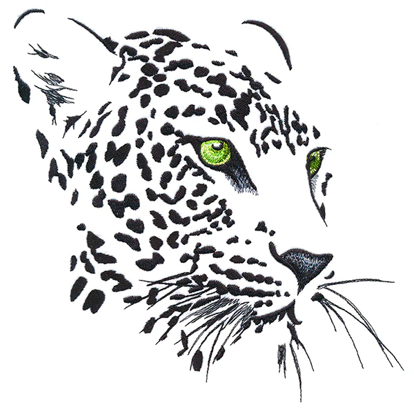 Wild Eyes Leopard - Image 12