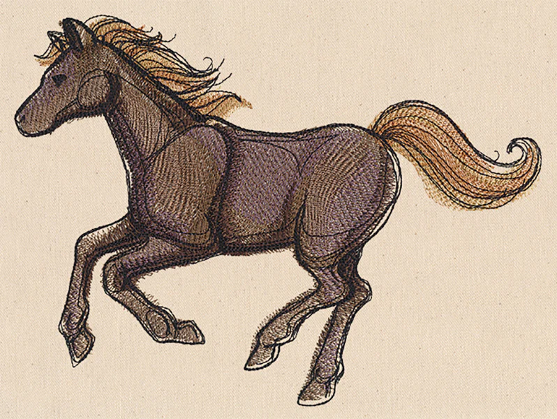 Wild Horse - Image 5