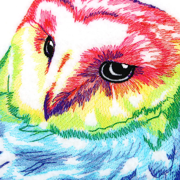 Wild Rainbow Owl - Image 4