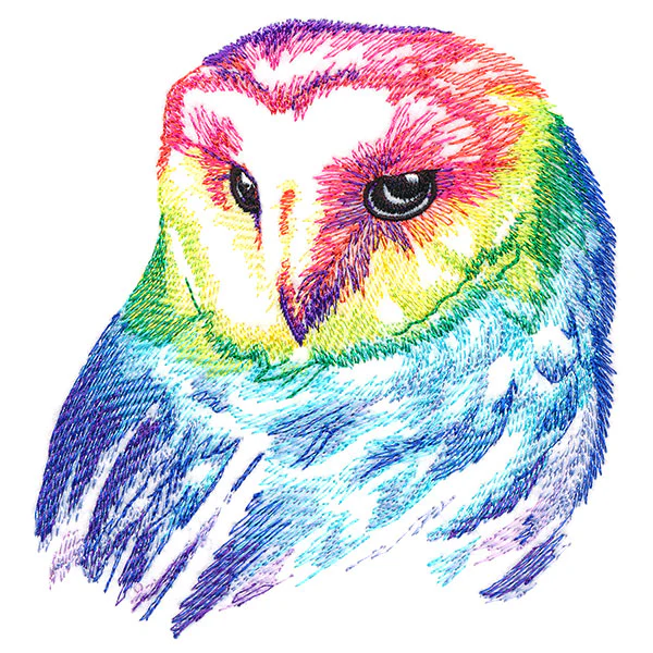 Wild Rainbow Owl - Image 5