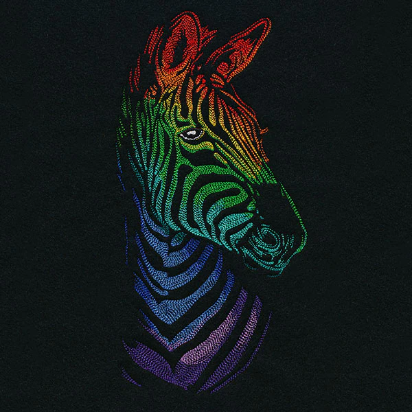 Wild Rainbow Zebra - Image 11