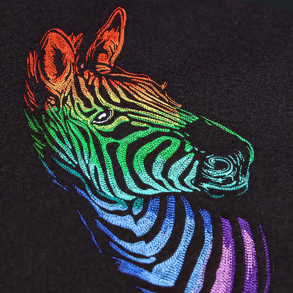 Wild Rainbow Zebra - Image 6