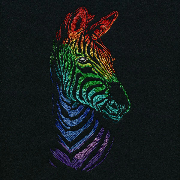 Wild Rainbow Zebra - Image 7