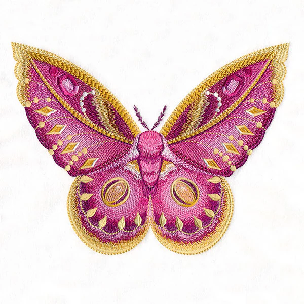 Winged & Beautiful