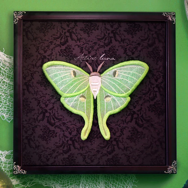 Winged Curiosities (3D Applique) (Design Pack) - Image 22
