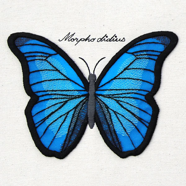 Winged Curiosities - Blue Morpho (3D Applique) - Image 8