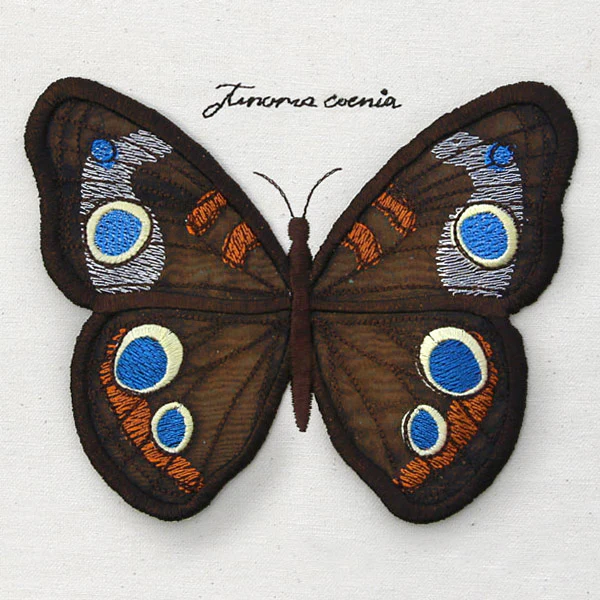Winged Curiosities - Common Buckeye (3D Applique) - Image 3