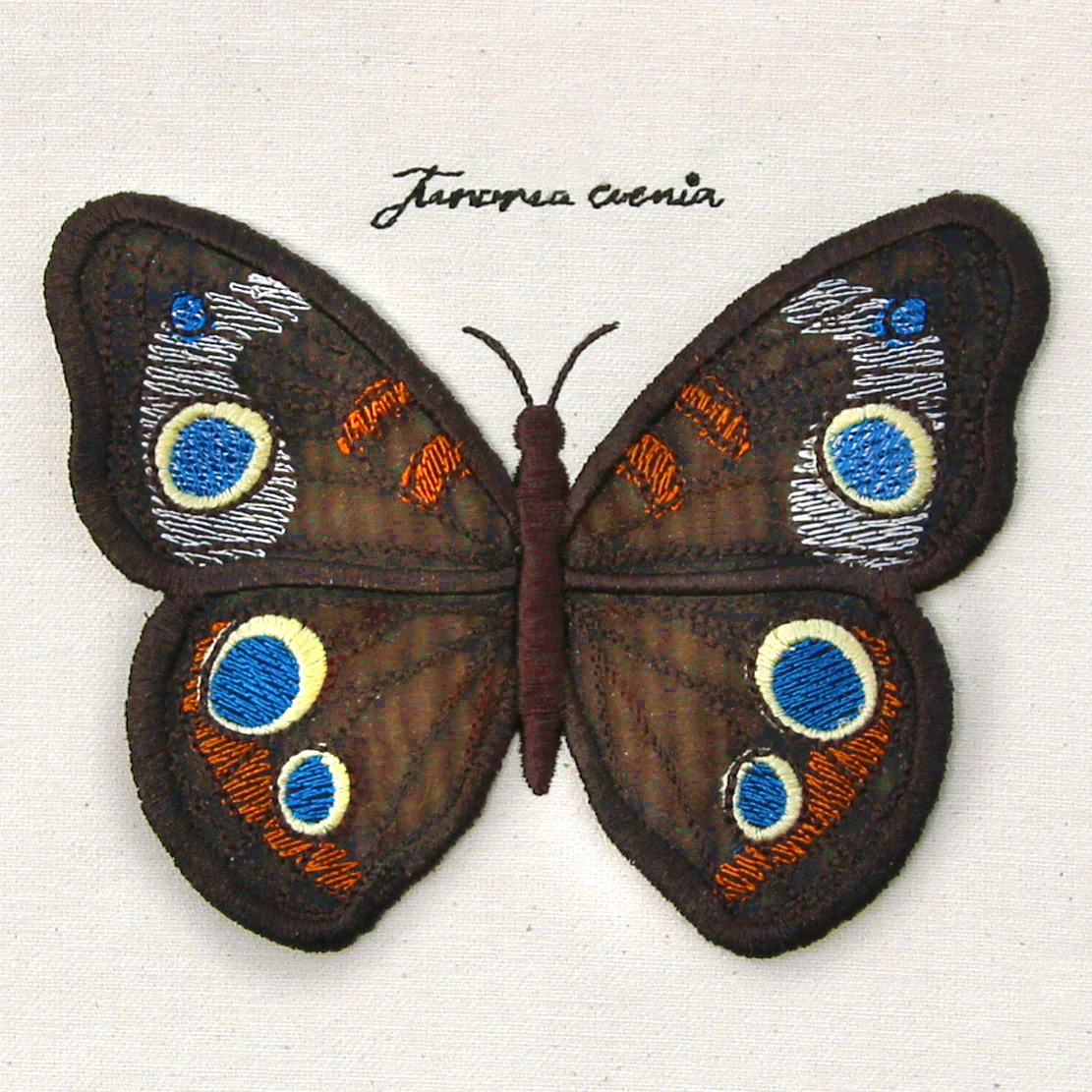 Winged Curiosities - Common Buckeye (3D Applique) - Image 4