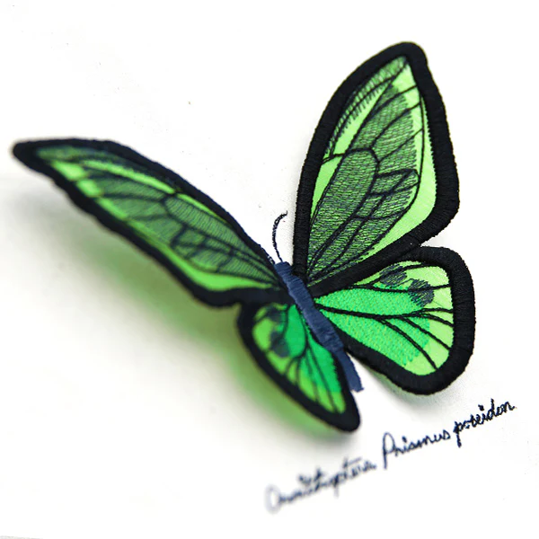 Winged Curiosities - Green Birdwing (3D Applique) - Image 5