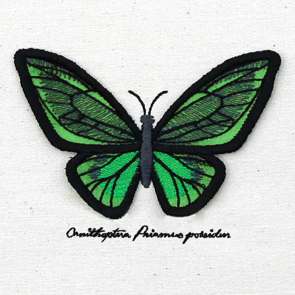 Winged Curiosities - Green Birdwing (3D Applique) - Image 6